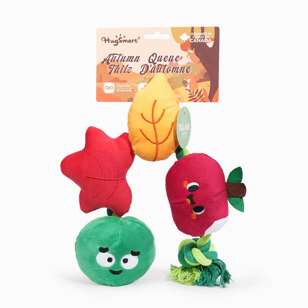Hugsmart Products Inc - HugSmart Pet - Autumn Tailz | Apple and Worm - Dog Rope Toy
