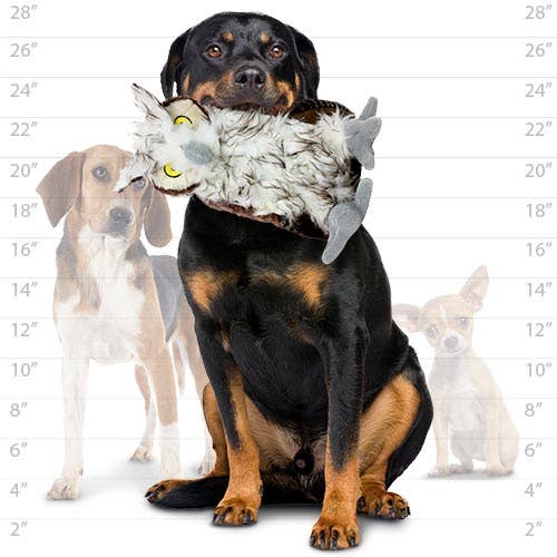 Tuffy Dog Toys - VIP Products - Mighty Nature Owl, Plush, Squeaky Dog Toy