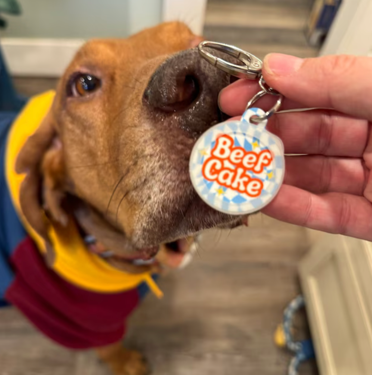 Bad Tags - Dog ID Tag with Personalized QR Code - Beefcake - Engraved QR Code / Large 1.25"