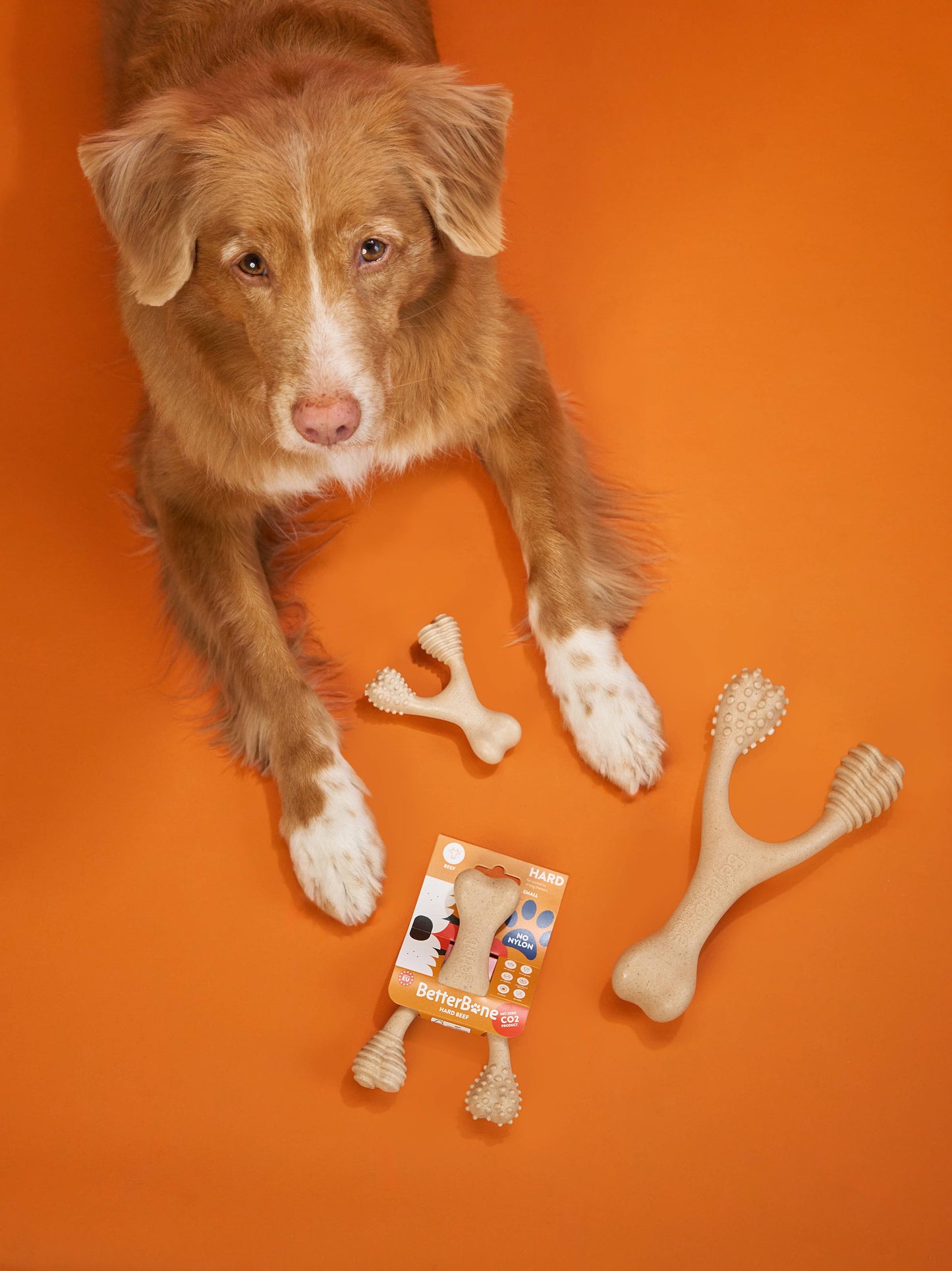 BetterBone Natural Dog Chews - BetterBone HARD -Durable, All-Natural, No Nylon, Sustainable - Beef / Small (dogs under 25 lbs)