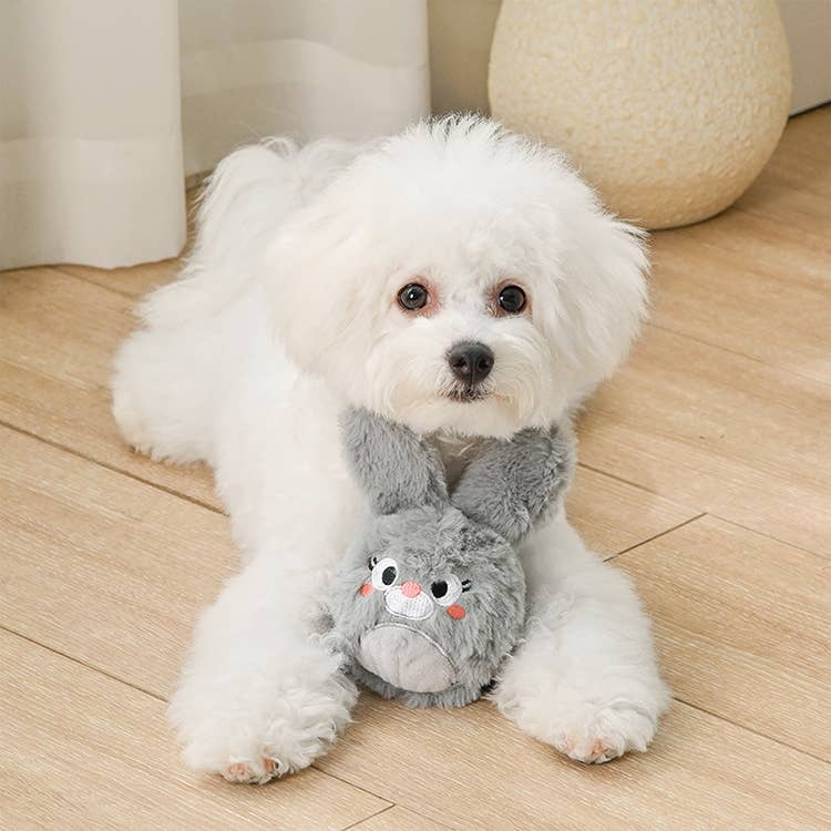 Hugsmart Products Inc - HugSmart Pet - Farm Friendz | Bunny - Dog Ball Toy