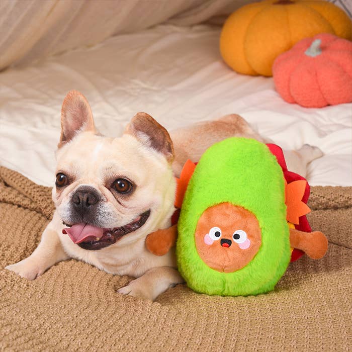 Hugsmart Products Inc - HugSmart Pet - Autumn Tailz | Turkey Avocado -Dog Plush Toy