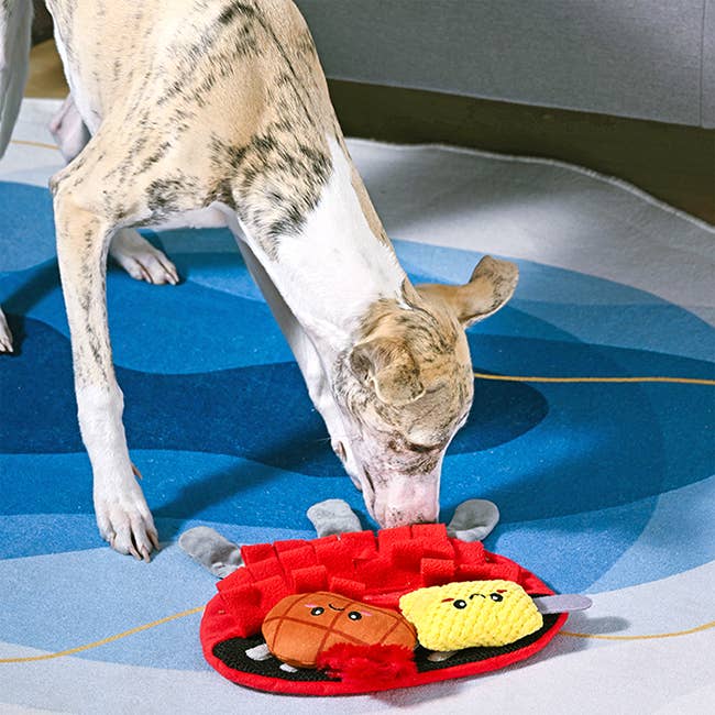 Hugsmart Products Inc - Oriland Pet - Beach Daze | BBQ Grill - Dog Plush Toy