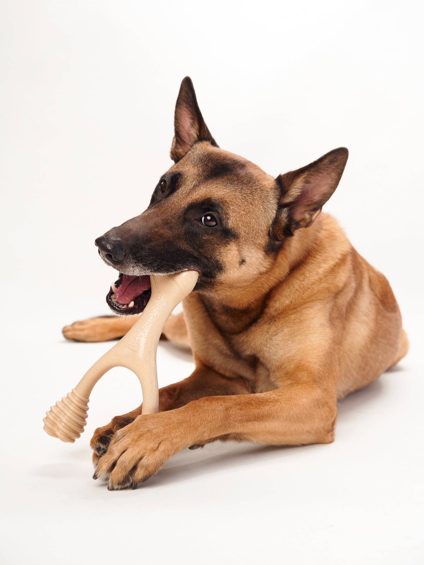 BetterBone Natural Dog Chews - BetterBone HARD -Durable, All-Natural, No Nylon, Sustainable - Beef / Small (dogs under 25 lbs)