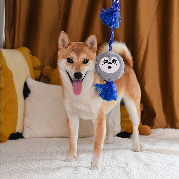 Hugsmart Products Inc - HugSmart Pet - Fluffy Tuggerz | Sea Lion - Dog Rope Toy