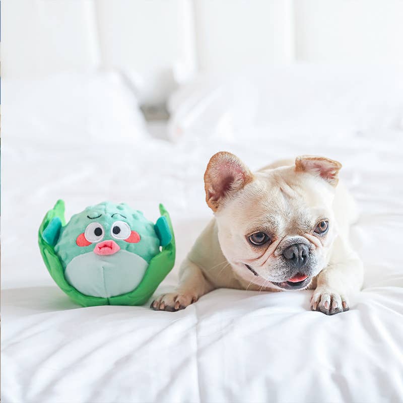 Hugsmart Products Inc - HugSmart Pet - Ocean Pals | Puffer Fish - Dog Plush Toy