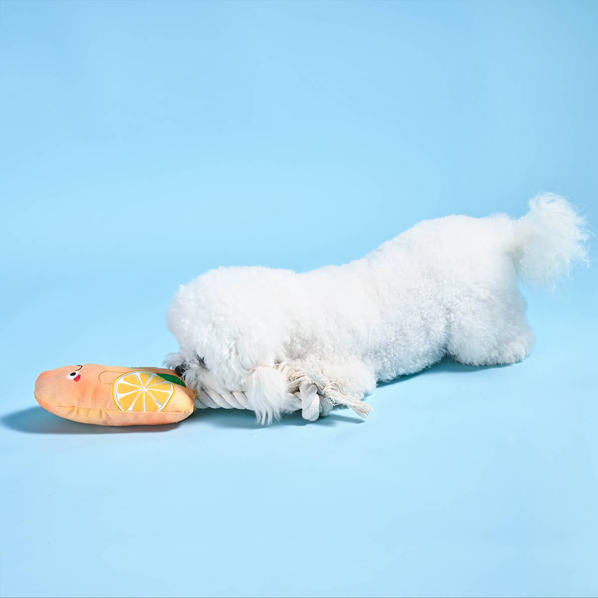 Hugsmart Products Inc - Orilandpet - Beach Daze | Orange Popsicle - Dog Rope Toys