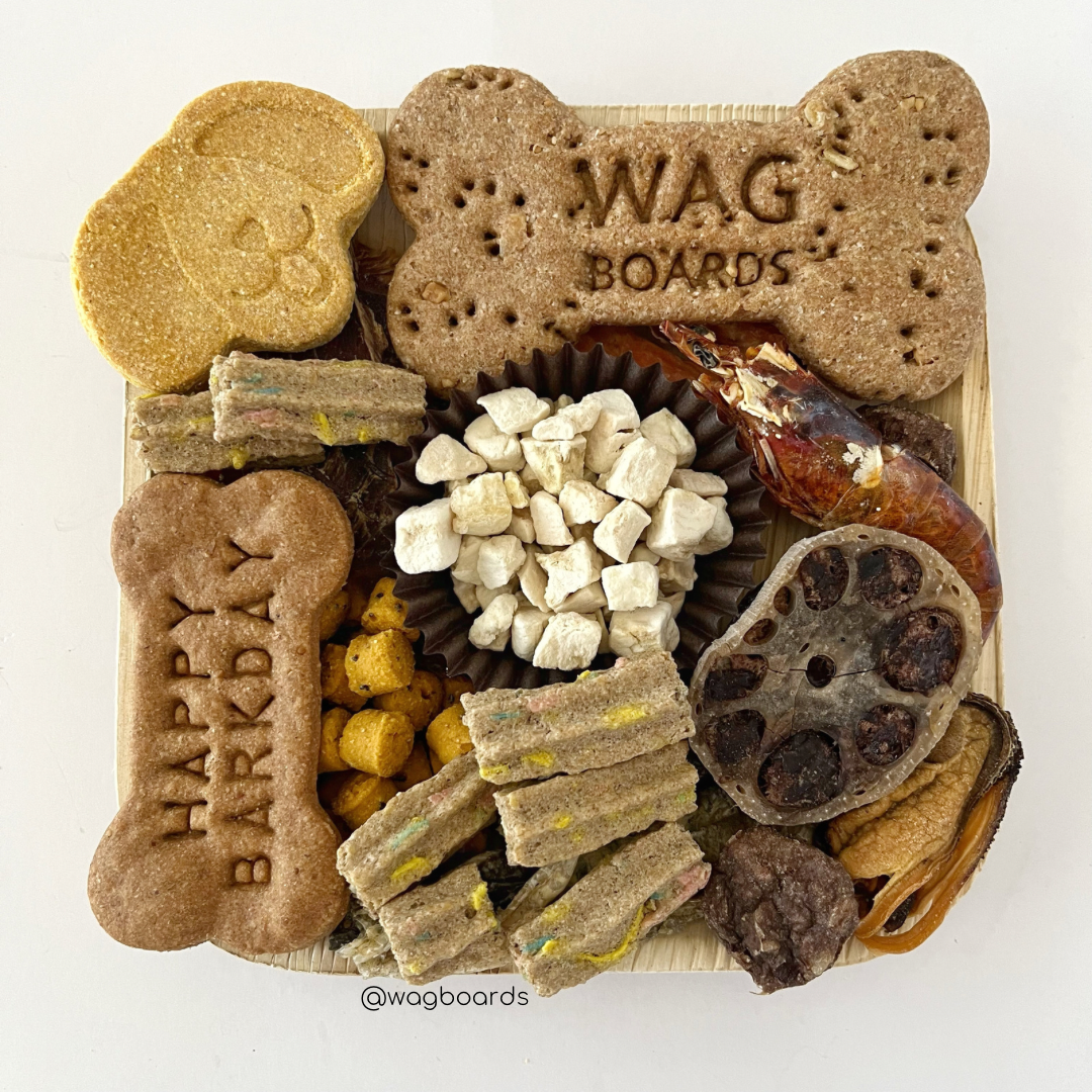 Barkday Wagboard - Doot's Pet LLC Collars For A Cause