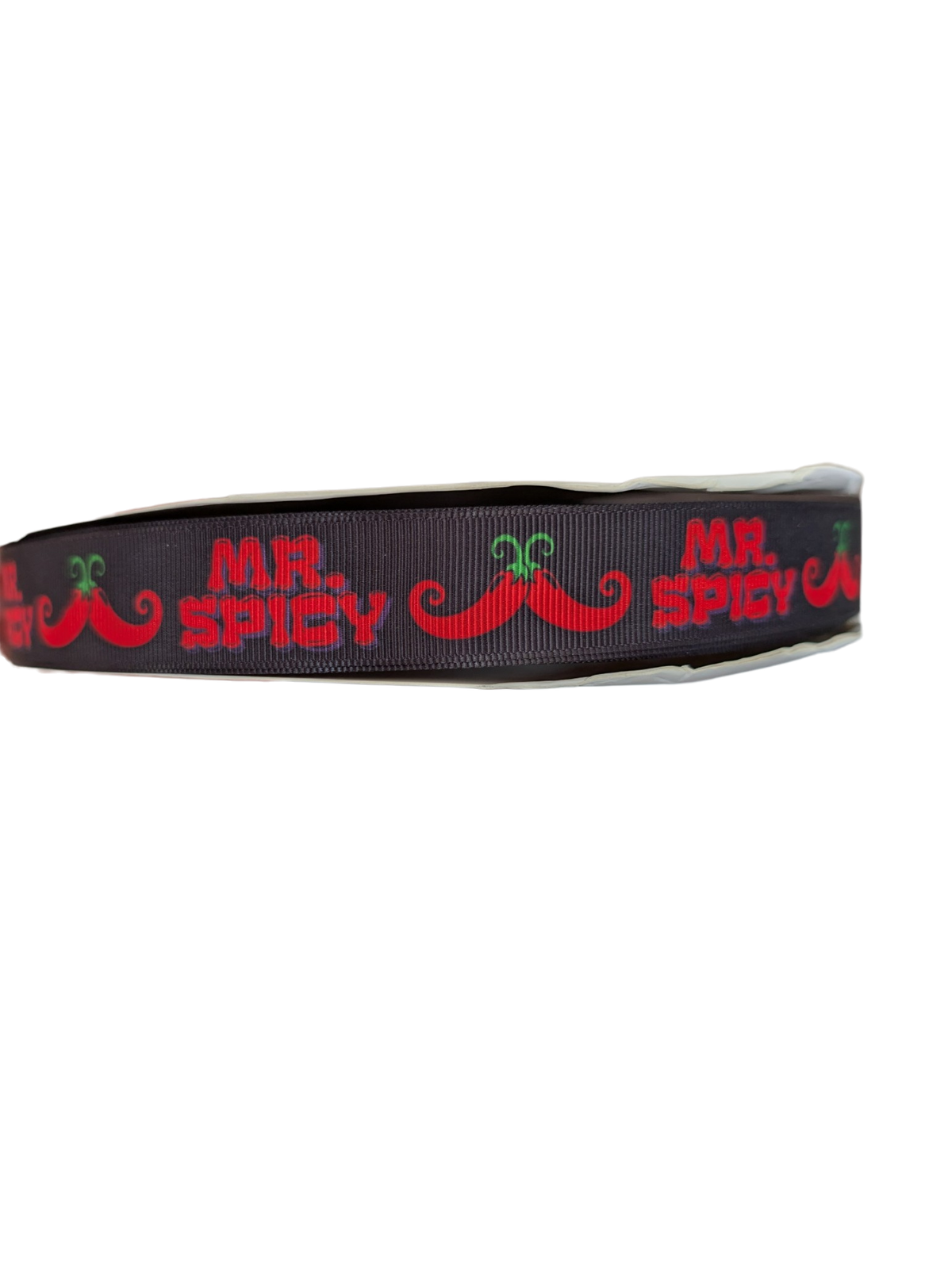 Mr. Spicy Nylon Dog Collar
