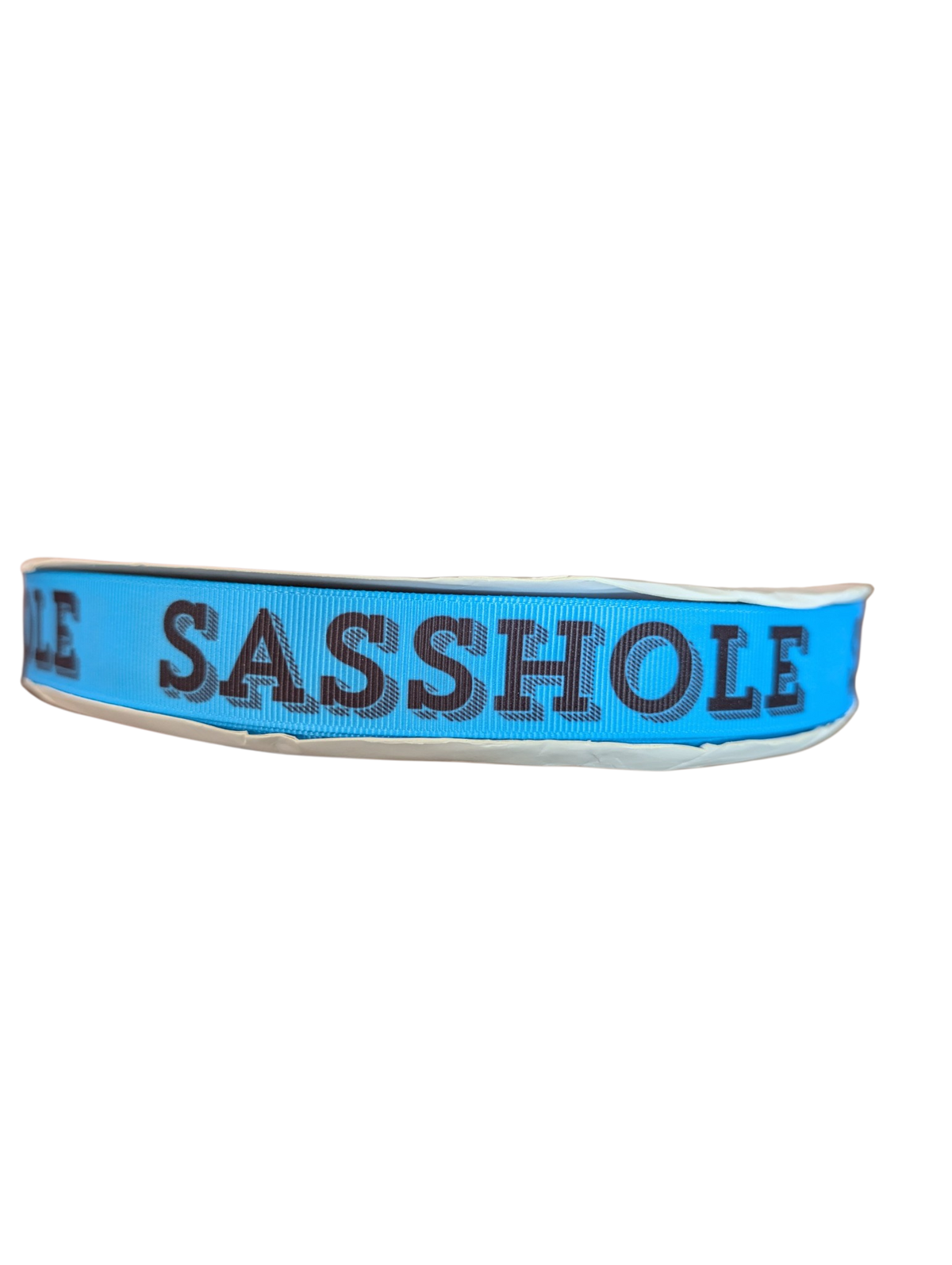 Sasshole Nylon Dog Collar