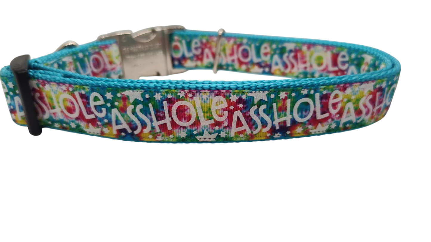 Asshole Rainbow Galaxy Nylon Dog Collar