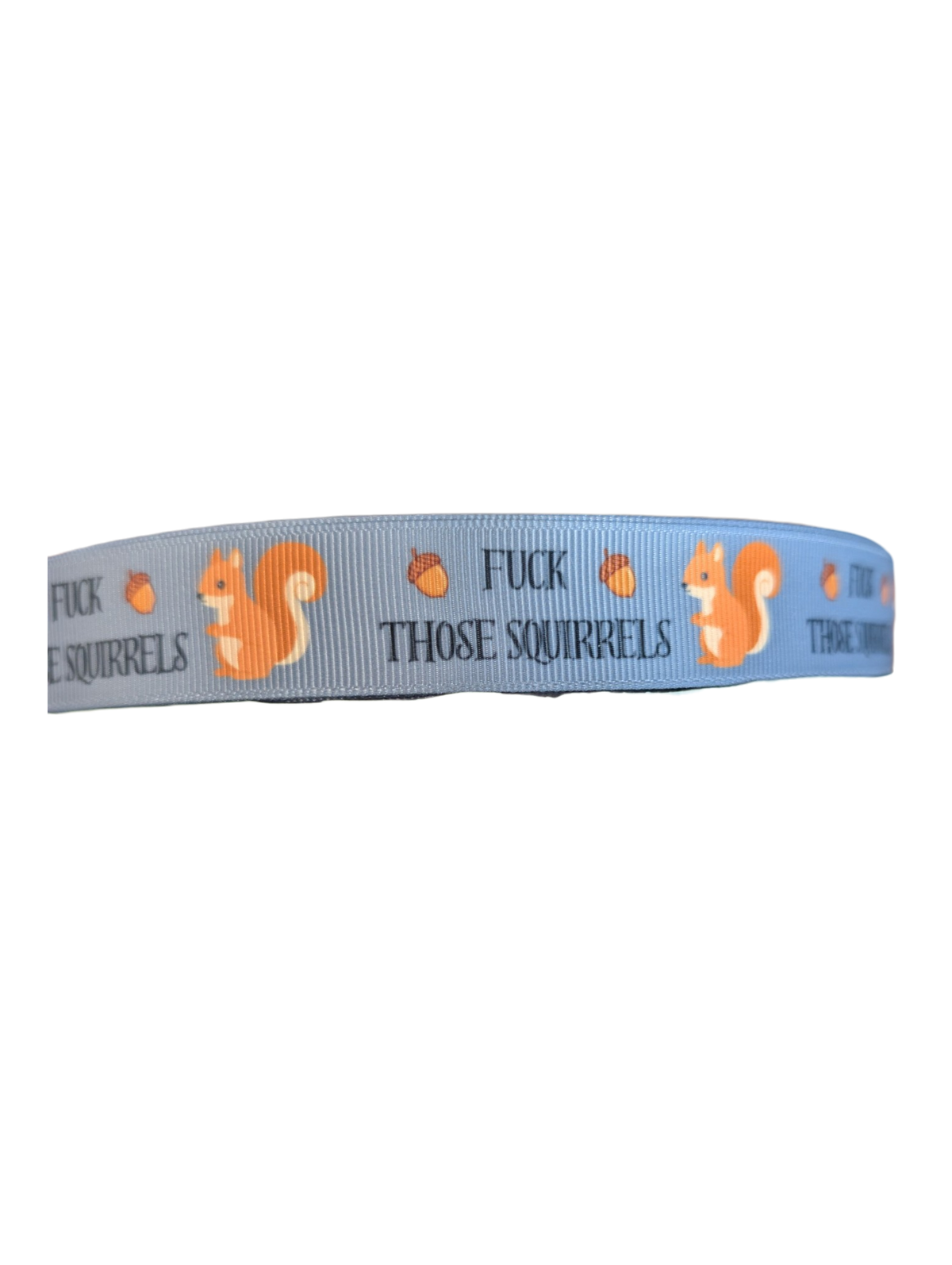 Fuck Those Squirrels Nylon Dog Collar