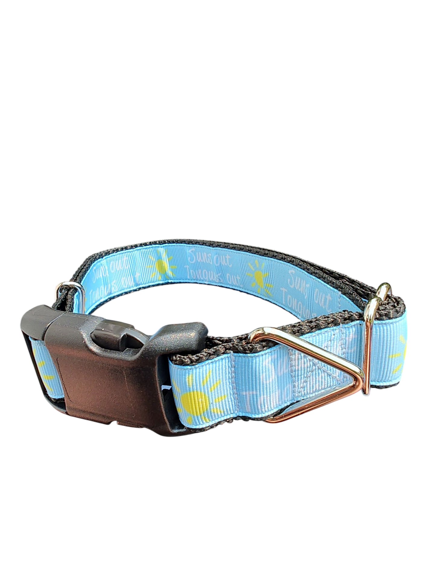 Suns Out Tongues Out Blue Nylon Dog Collar