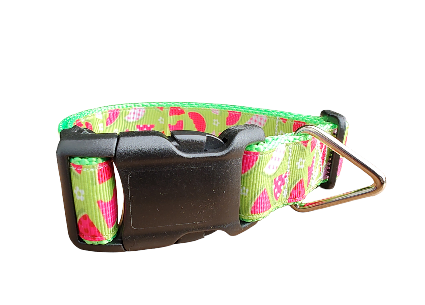 Watermelon Picnic Neon Green Nylon Dog Collar MD, LG, XL, Leash - Doot's Pet LLC Collars For A Cause