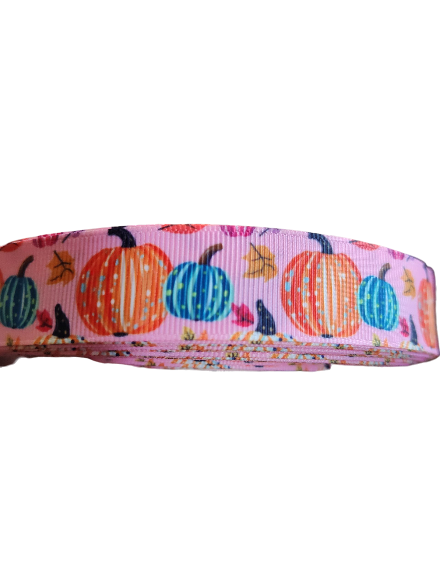 Fall Pumpkins Nylon Dog Collar, Leash