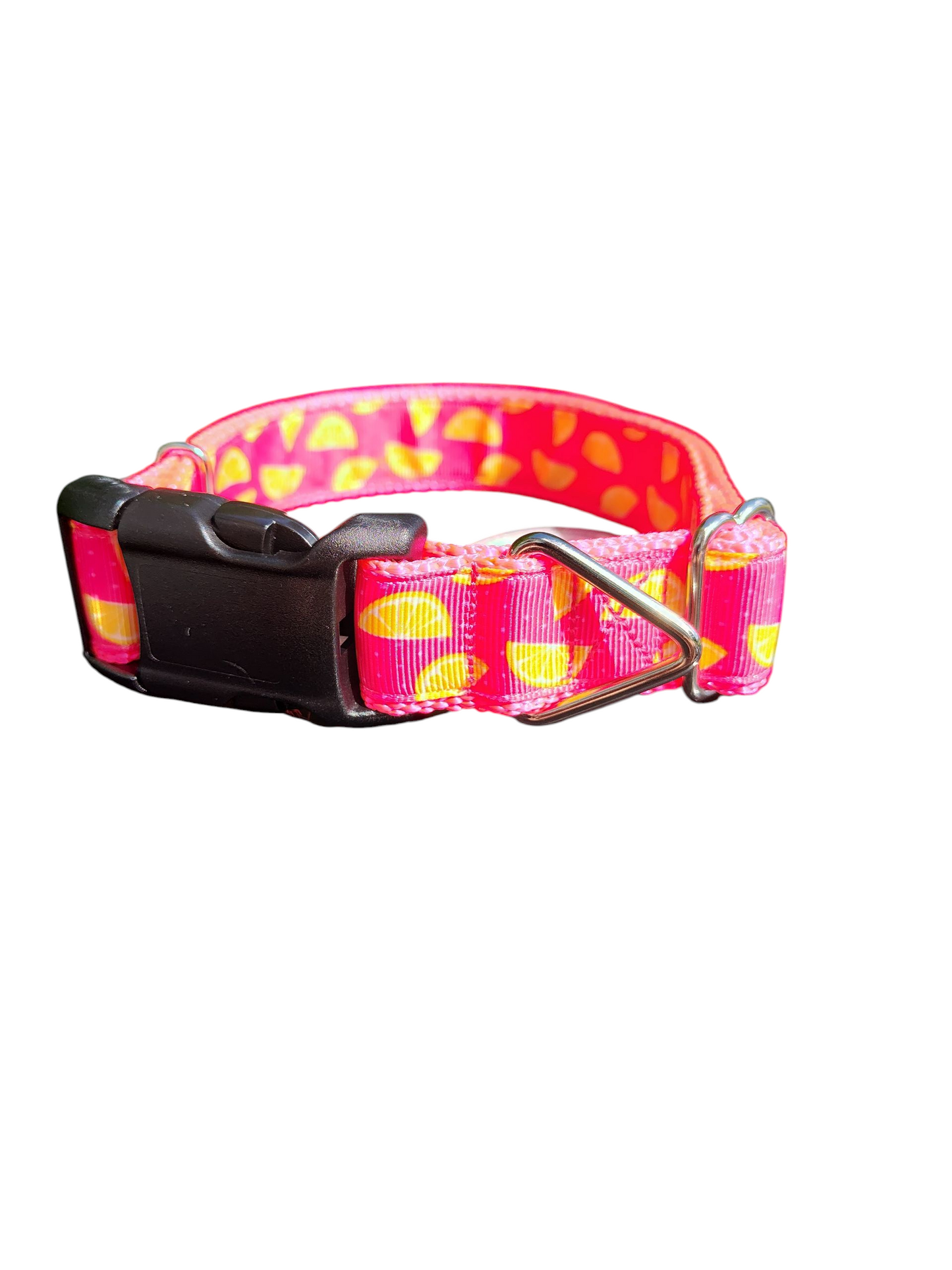 Pink Lemonade Nylon Dog Collar