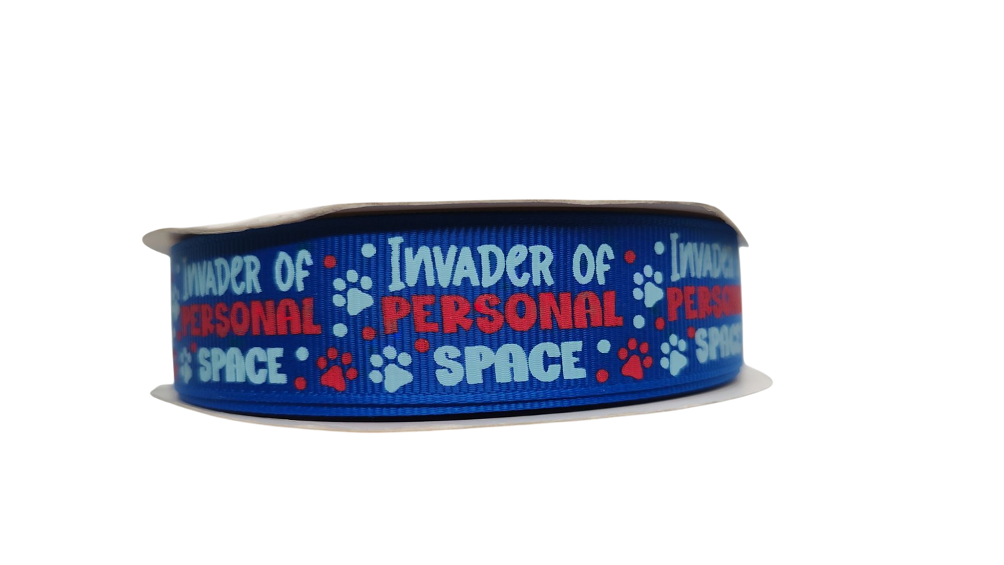 Invader of Personal Space Blue Nylon Dog Collar