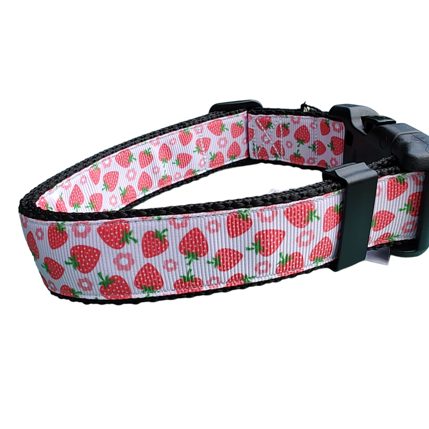 Strawberry Flowers Black Nylon Dog Collar MD, LG, XL, Leash - Doot's Pet LLC Collars For A Cause