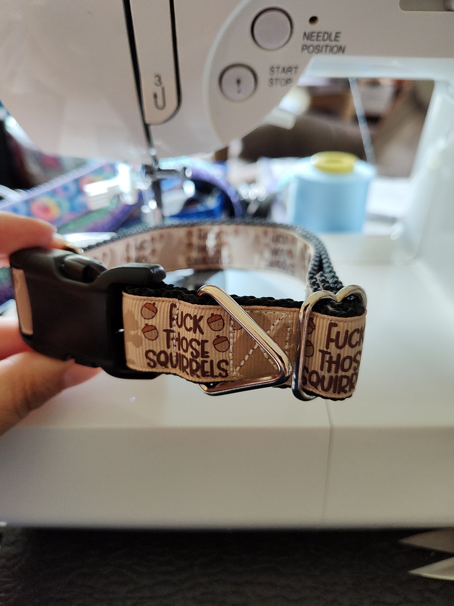 Fuck Those Squirrels Nylon Dog Collar