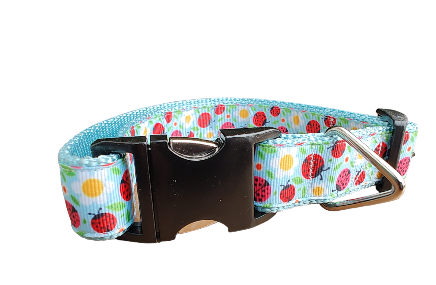 Ladybugs and Daisies Light Blue Nylon Dog Collar MD, LG, XL, Leash - Doot's Pet LLC Collars For A Cause
