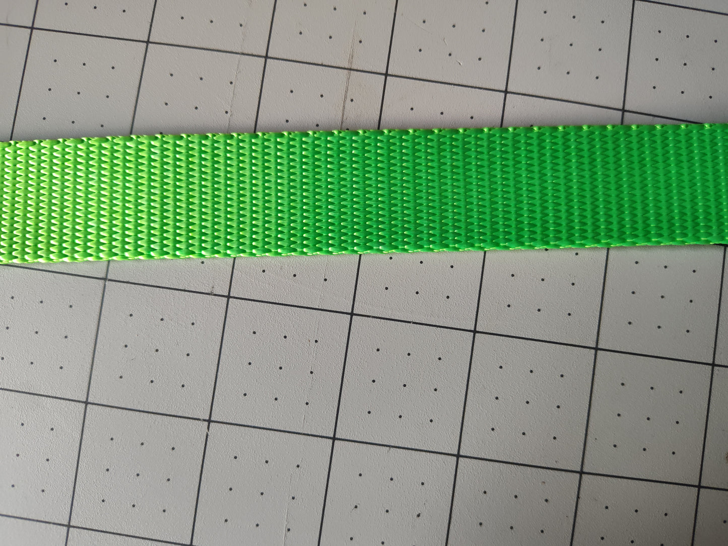 Doot's Basics Nylon Dog Collar/ Leash