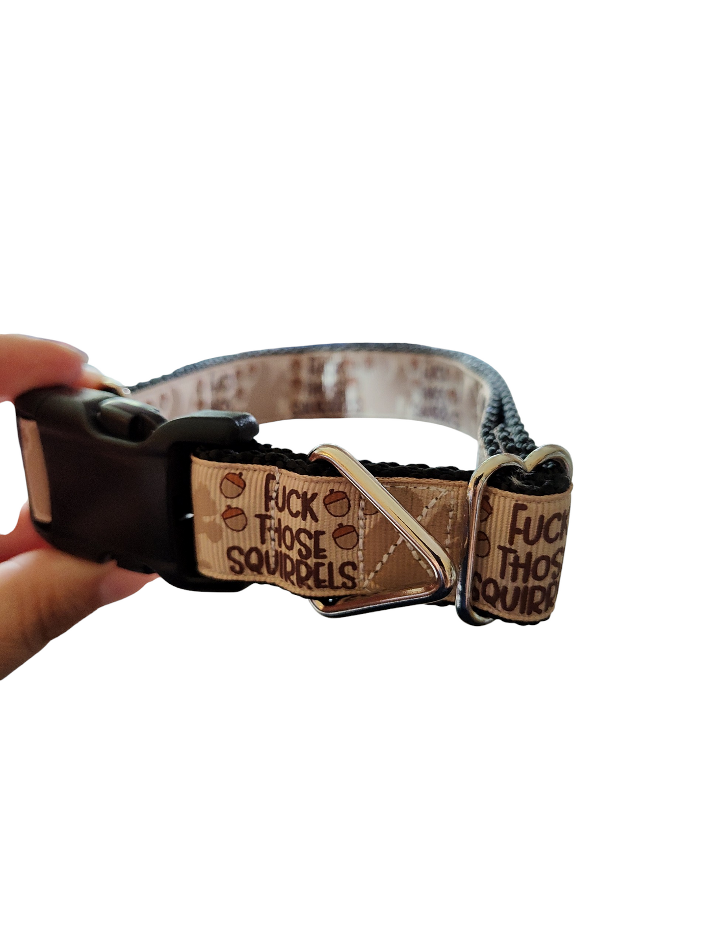 Fuck Those Squirrels Nylon Dog Collar