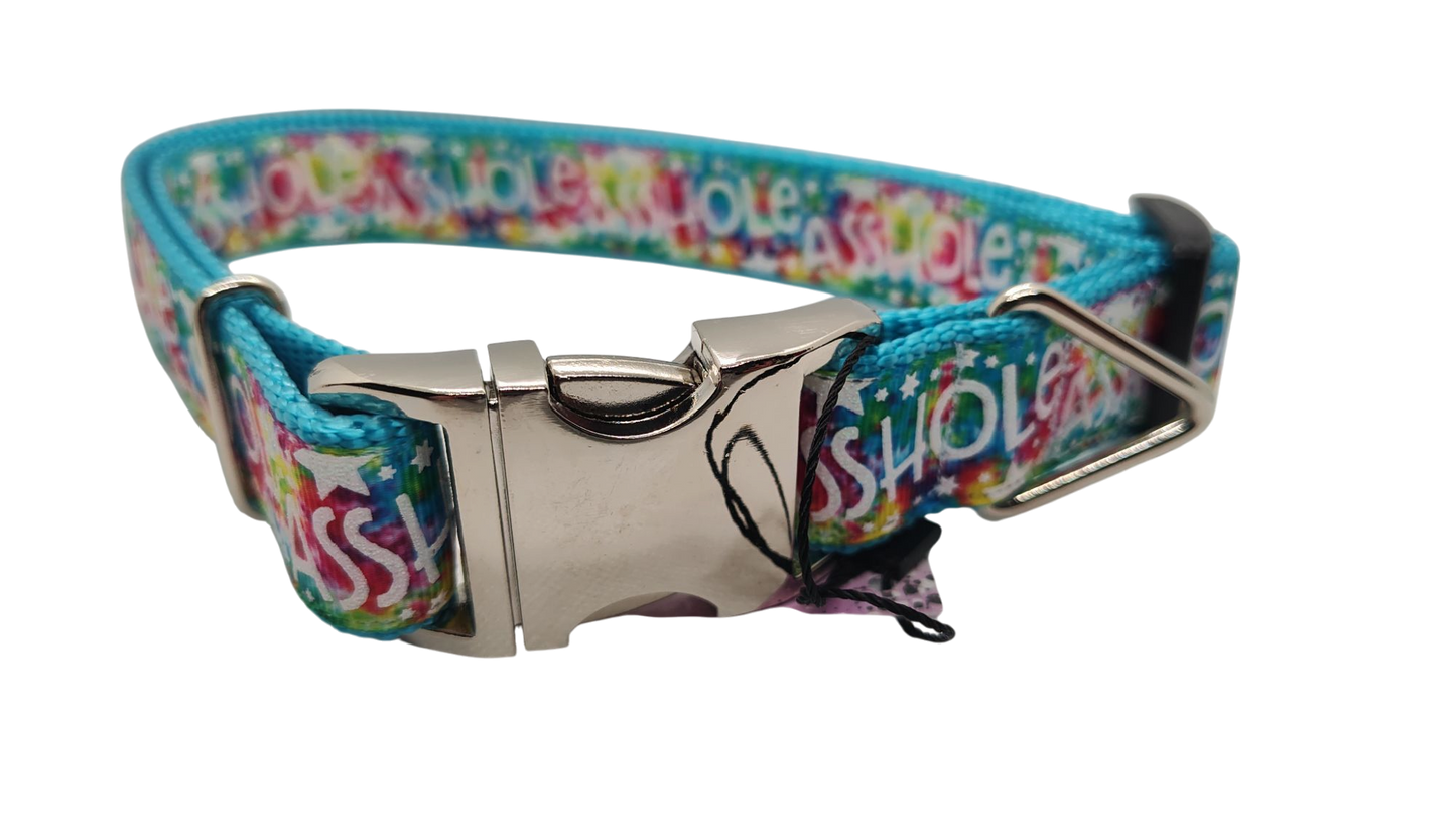 Asshole Rainbow Galaxy Nylon Dog Collar