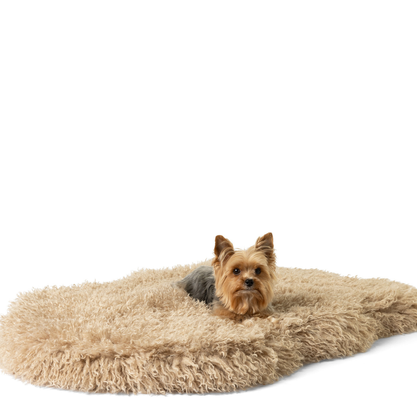 PupRug® Luxe Faux Fur Orthopedic Dog Bed - Plush Sheep Tan - Doot's Pet LLC Collars For A Cause