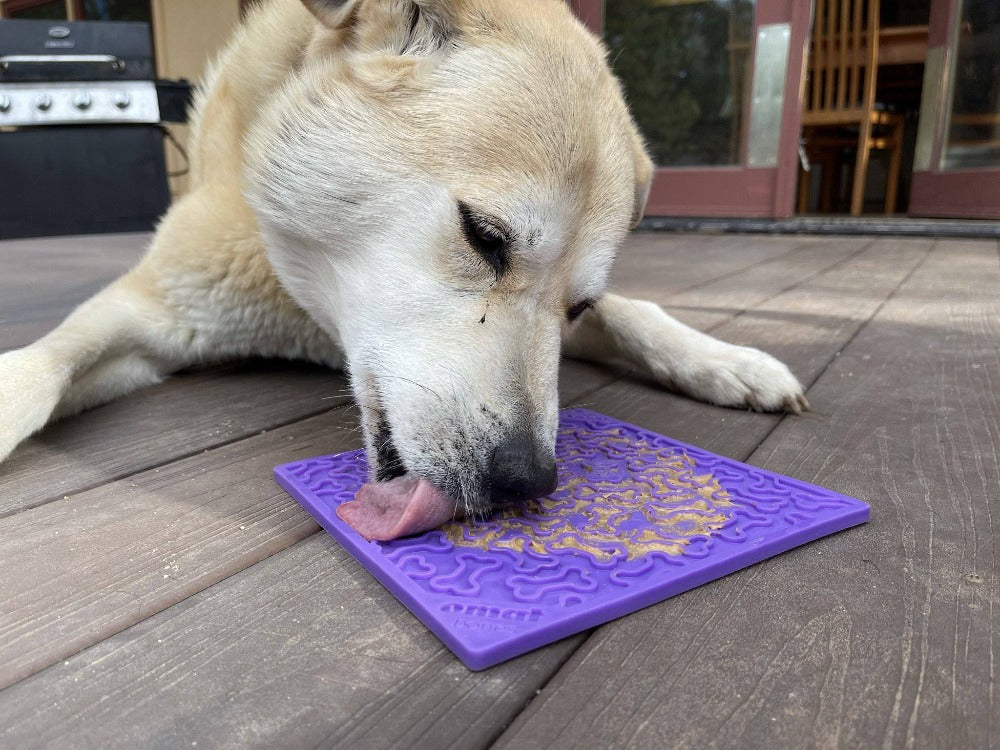 Bones eMat - Enrichment Lick Mat for Dogs and Cats | eMat Enrichment Toy for Anxiety Relief | SodaPup - Doot's Pet LLC Collars For A Cause