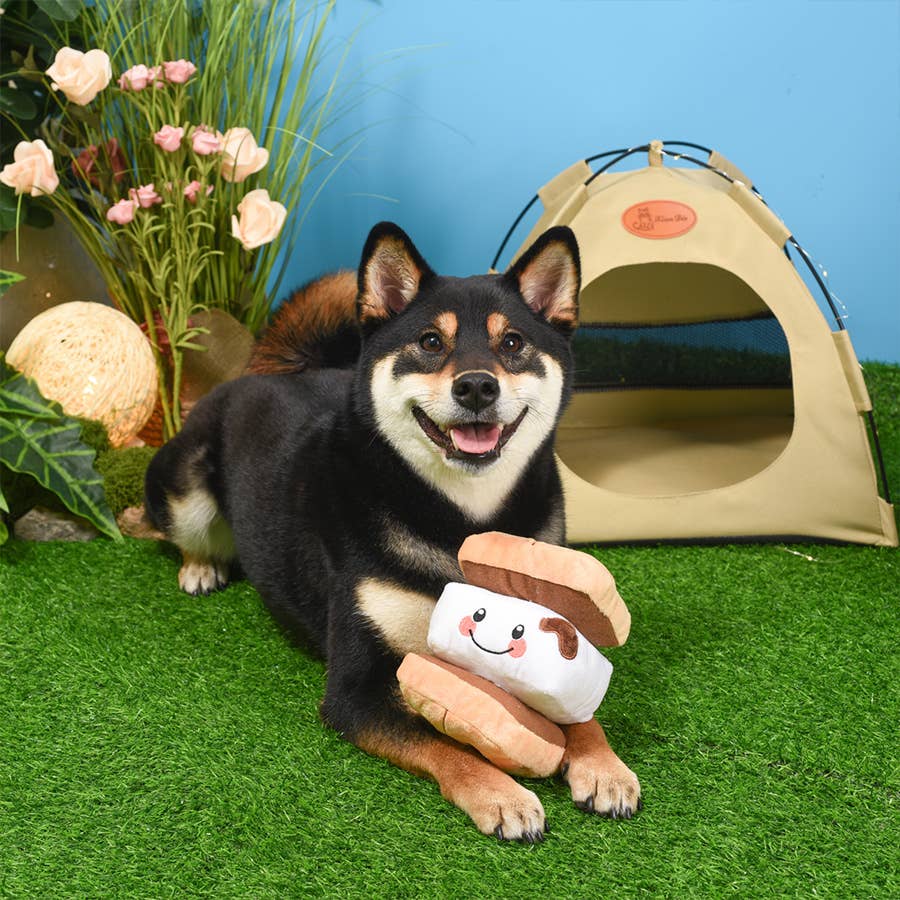 Stuffed Dog Toys