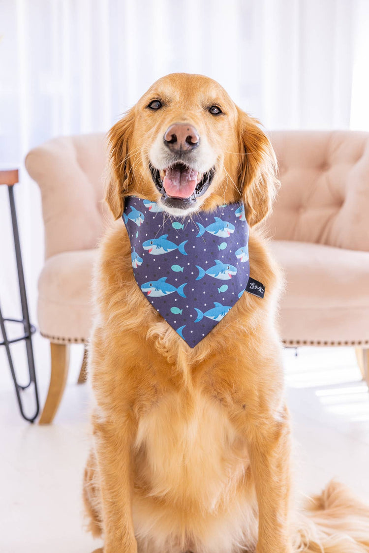 Bandanas