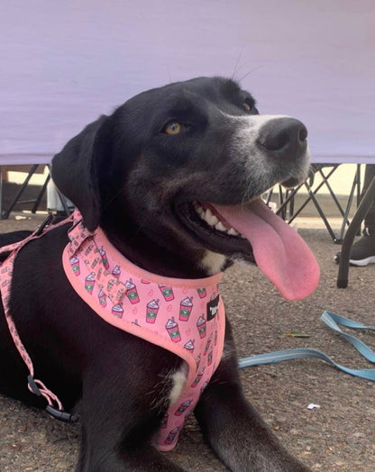 Mina + Pup - Pink Pupshake Adjustable Dog or Cat Harness