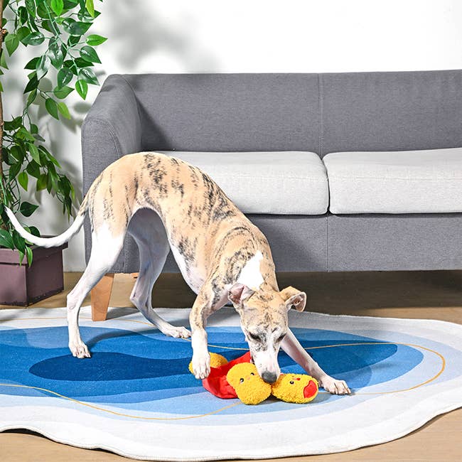 Hugsmart Products Inc - HugSmart Pet - Food Party | Chicken Nuggets -Interactive Toy