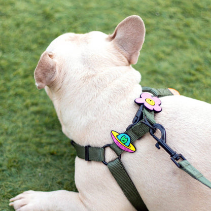 Jiby Dog Crew - UFO Dog Jiby