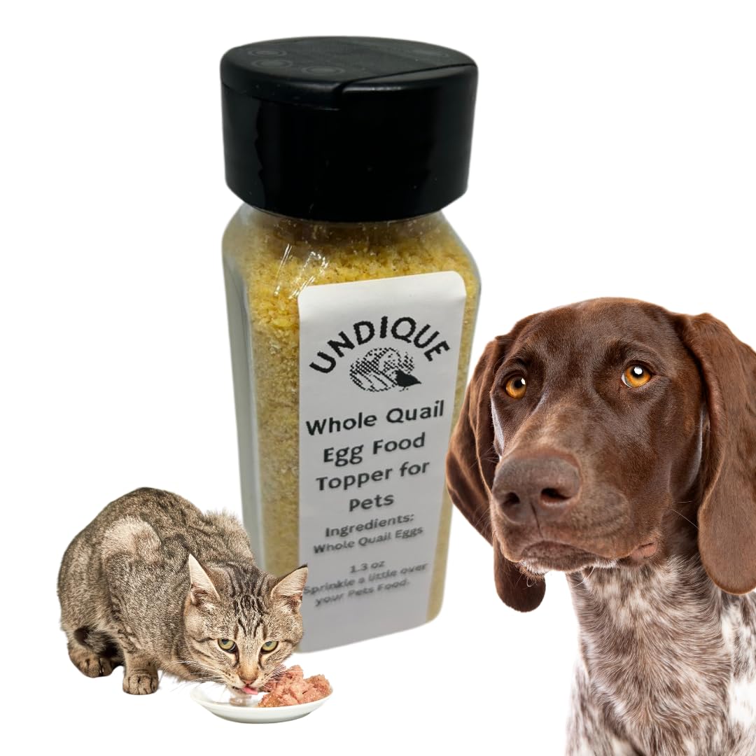Quailicious Boost - Made in USA High-Protein Quail Egg Cat Food Topper, Freeze-Dried for Cat Digestive Health - Nutrient-Rich, Grain-Free Digestive Support for Cats, Ideal for Picky Eaters - Doot's Pet LLC Collars For A Cause