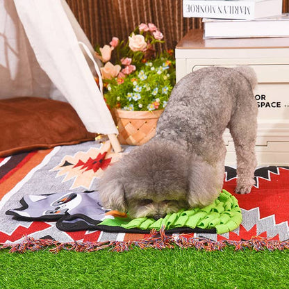 Hugsmart Products Inc - HugSmart Pet - Raccoon Buddies  | Raccoon Snuffle Mat