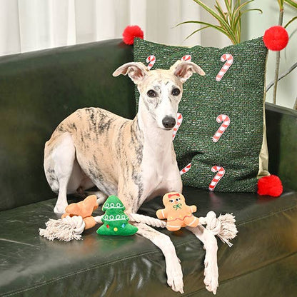 Hugsmart Products Inc - HugSmart Pet - Happy Woofmas | Holiday Gingerbread Man