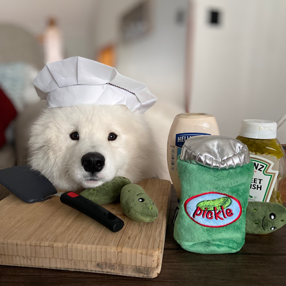 CHEWFFON - CHEWFFON Pickle Jar Hide & Seek Dog Toy