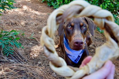 Doot's Chew Bar- Dogginstix - Braided Sticks Lamb Collagen Ring