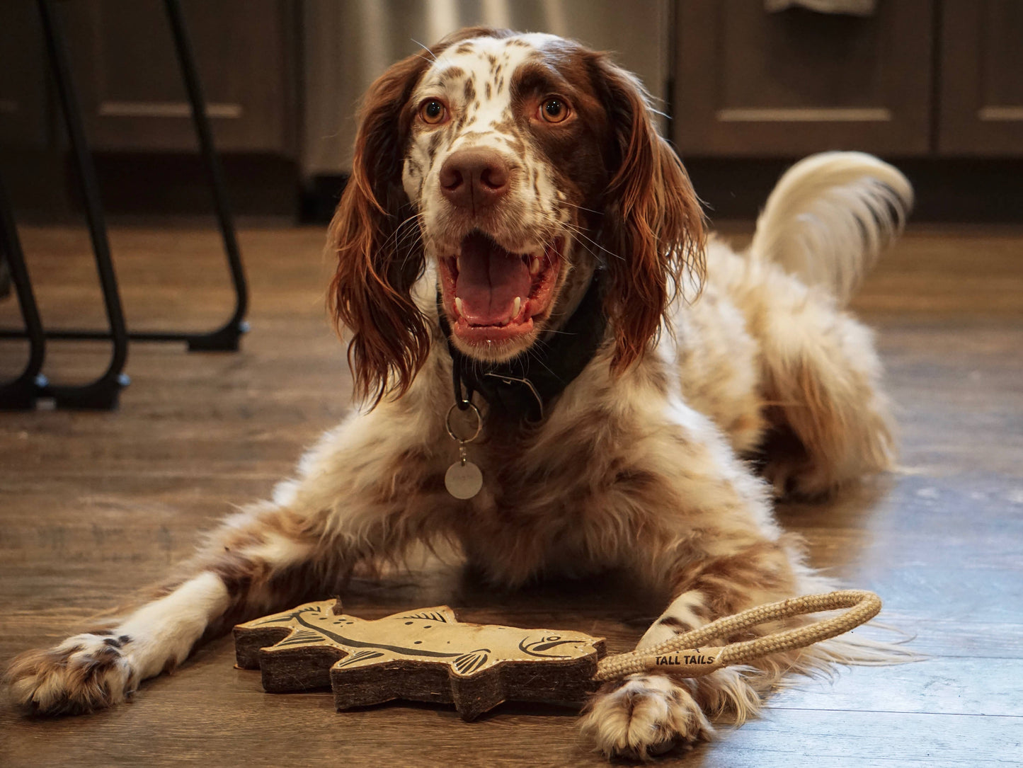 Tall Tails - Tall Tails Natural Leather Trout Tug Dog Toy - 16"