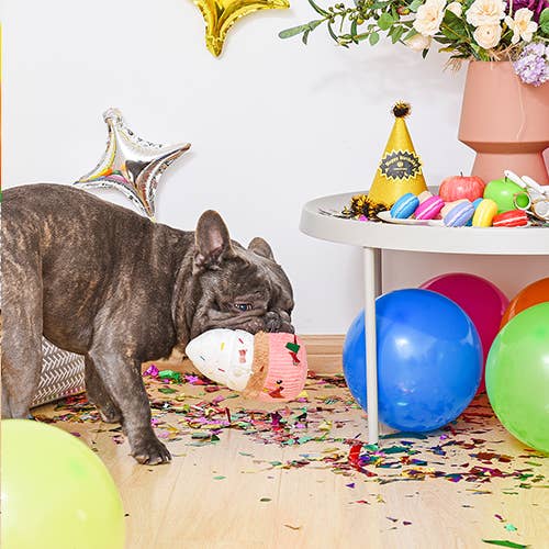 Hugsmart Products Inc - HugSmart Pet - Pooch Sweets | Cupcake - Dog Plush Toy