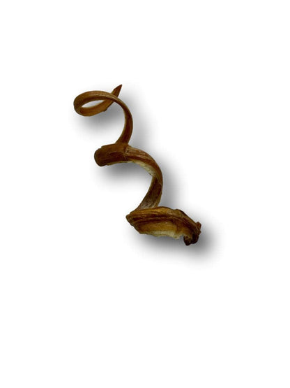 Healthy Dog Chews - Pork Pizzle Springs 6" (PE0106PS) -Single