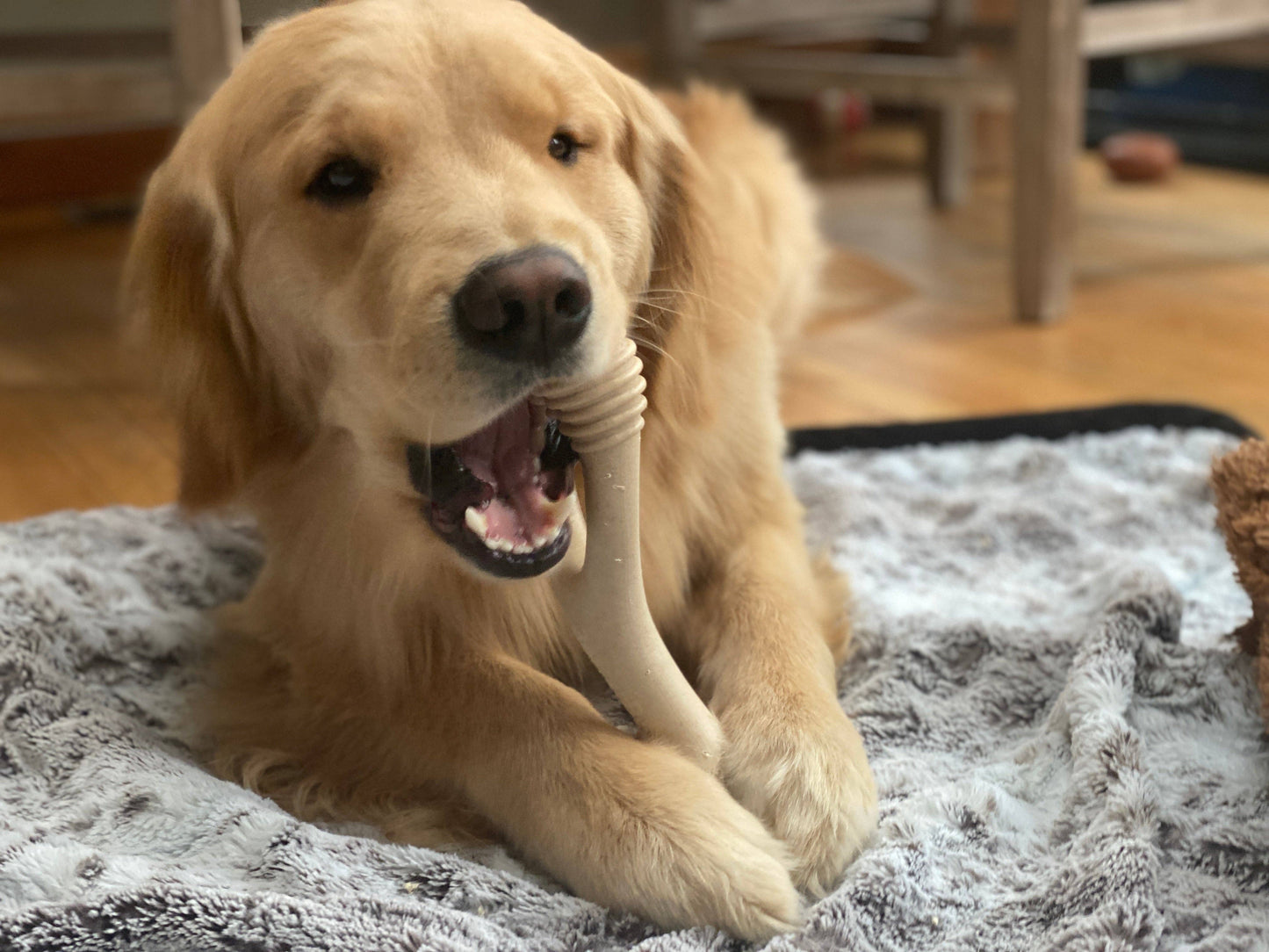 BetterBone Natural Dog Chews - BetterBone SOFT- All-Natural, Safer on Teeth, Sustainable - Beef / Small (dogs under 25 lbs)