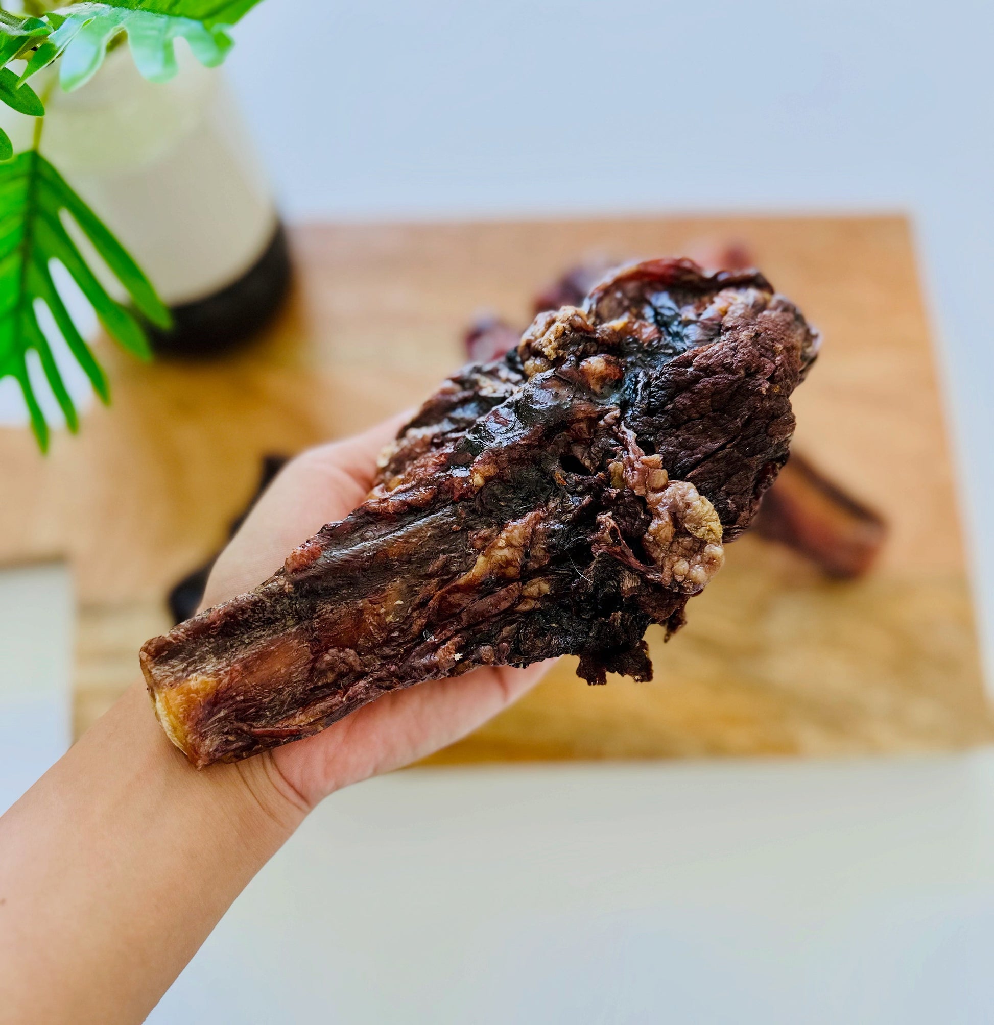 Beef Pizzle (Sticks, Loops, Short, - Doot's Pet LLC Collars For A Cause