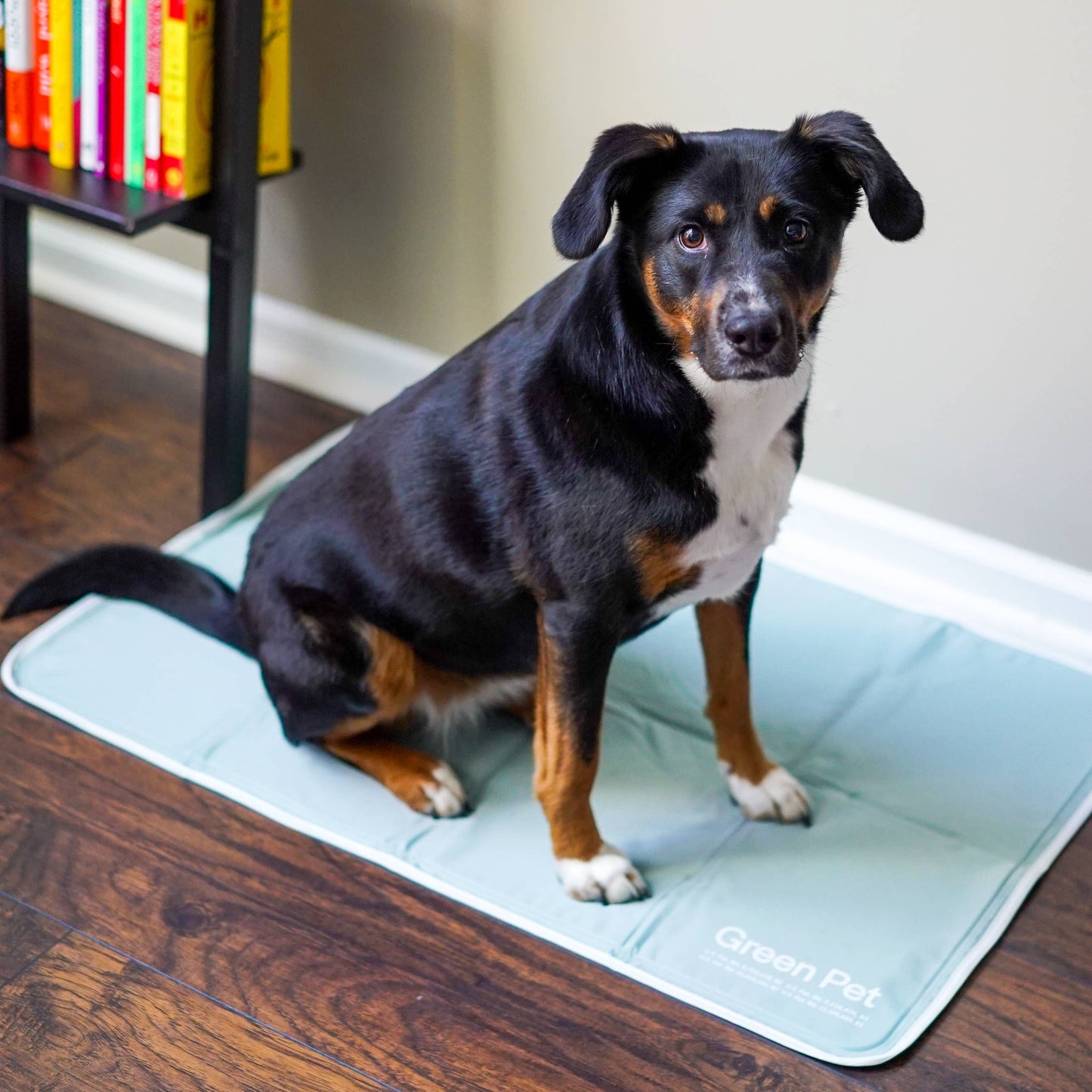The Green Pet Shop - Cool Pet Pad