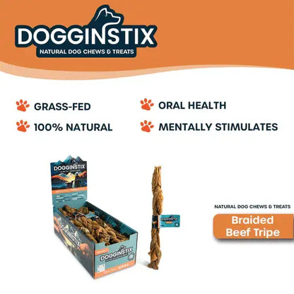 Doot's Chew Bar - Dogginstix - 12" Braided Beef Tripe Sticks