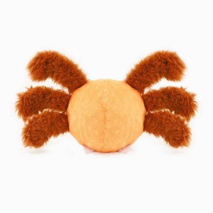 Hugsmart Products Inc - HugSmart Pet - Howloween Night | Spider - Dog Ball Toy