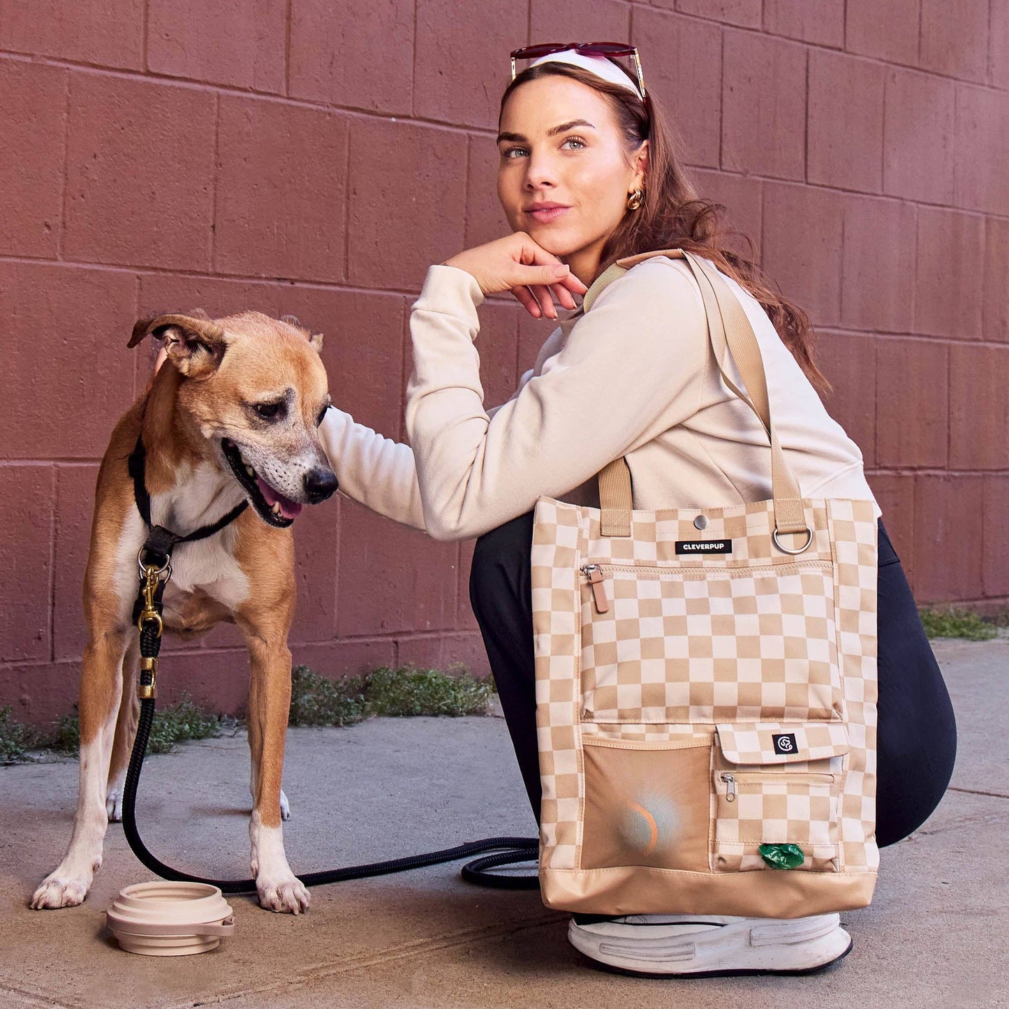 Cleverpup - Park Pack Dog Gear Tote