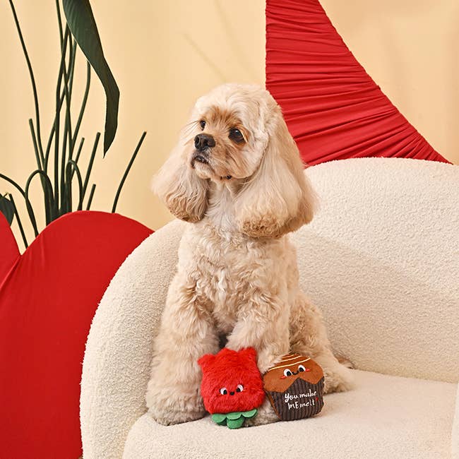 Hugsmart Products Inc - HugSmart Pet - Woof Love | Chocolate&Rose -  Dog Plush Toy