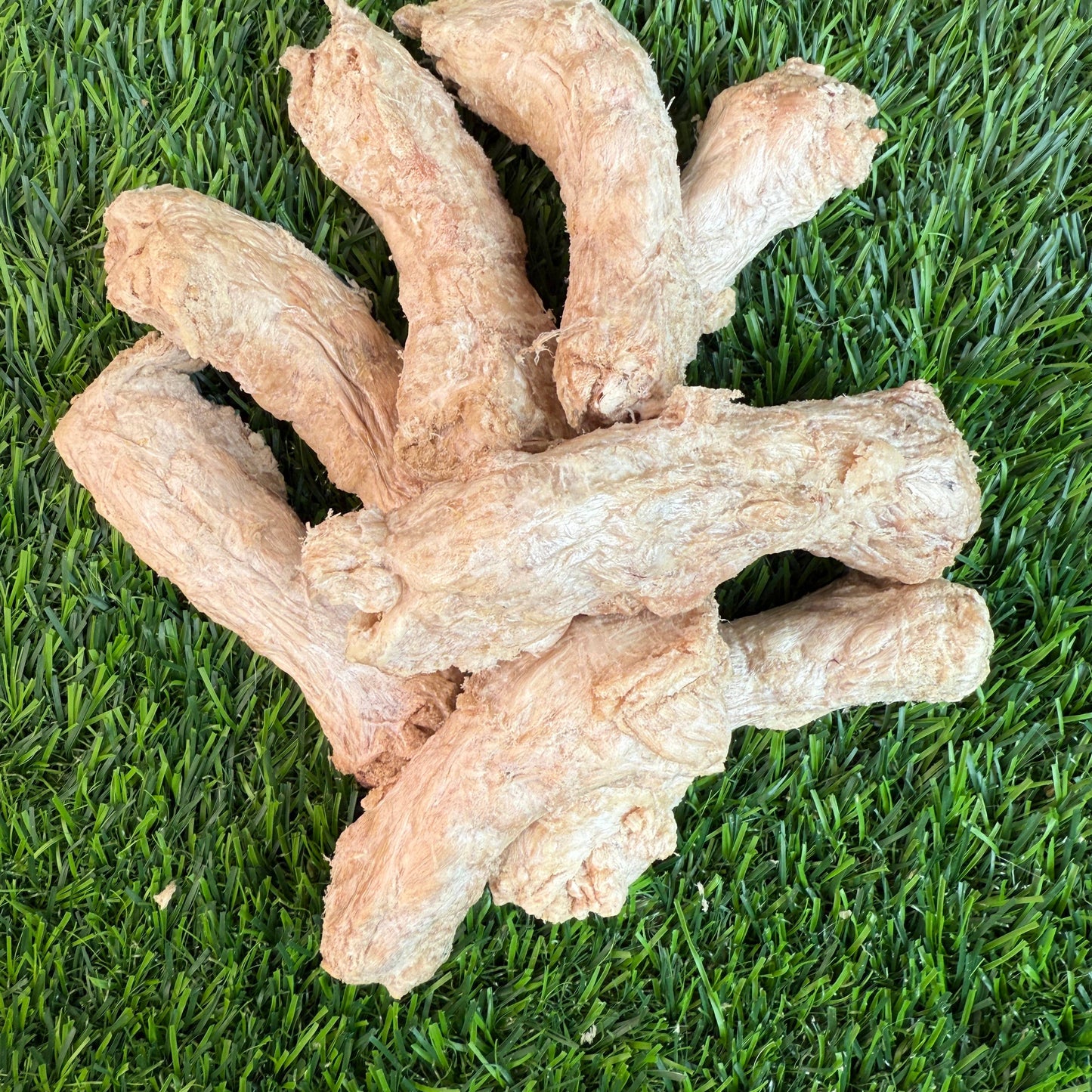 Doot's Chew Bar - Golden Nibbles - Chicken Neck - Freeze-Dried Treat for Dogs & Cats